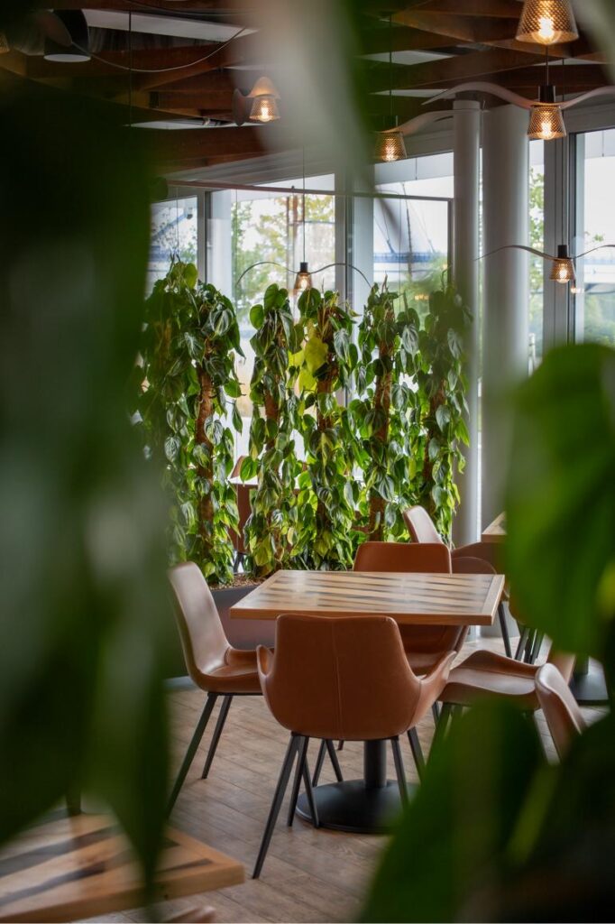 a room with a table and chairs