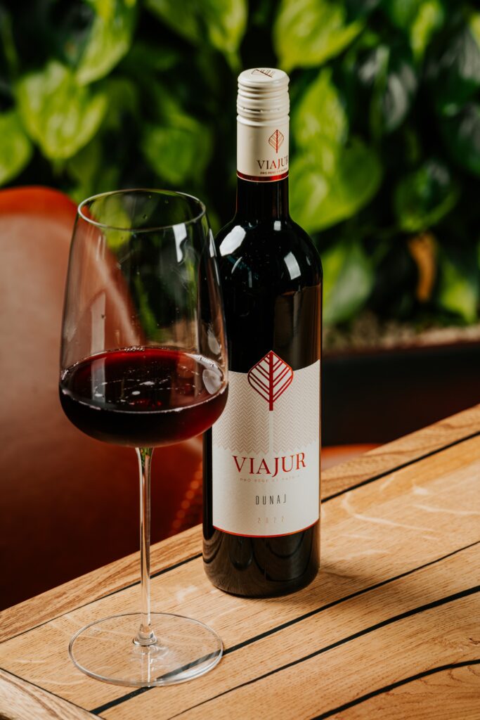 Valentine's Day by the Danube 6 Víno VIAJUR